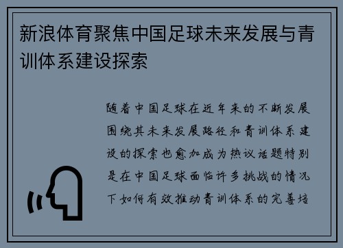 新浪体育聚焦中国足球未来发展与青训体系建设探索