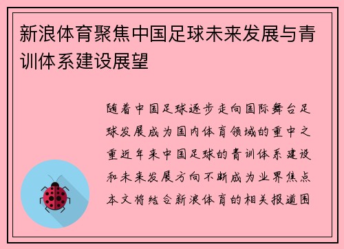 新浪体育聚焦中国足球未来发展与青训体系建设展望