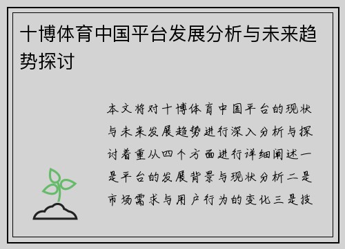 十博体育中国平台发展分析与未来趋势探讨
